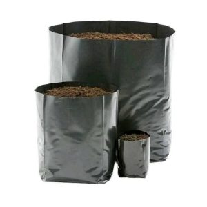 নার্সারি কালো পলি