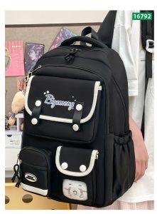 Premium School Bag
