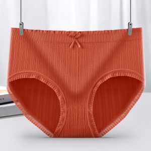 Japanese Seamless Ladies Underwear