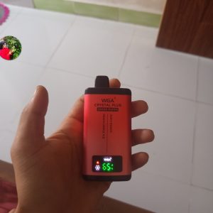 WGA CRYSTAL PLUS 20000 PUFFS