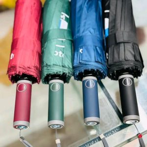 BMW Umbrella 16 stick (3+2__48 Ribs)