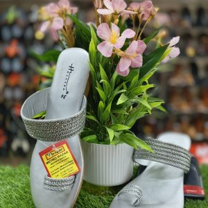 Fashionable Woman's Shoes.