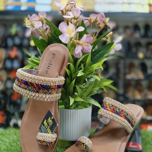 Fashionable Woman's Shoes.