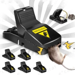 Mouse Trap