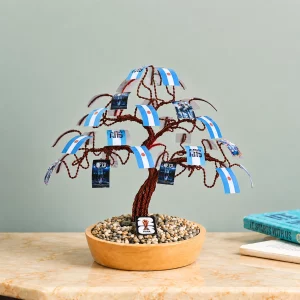 Handcrafted Aluminium Wire Argentina Football Bonsai Tree – Unique Home & Office Desk Decoration