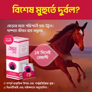 এঞ্জয় লাইফ