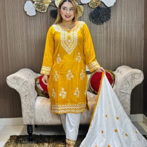 1✨ চিকেনকারি নেকলেস এমব্রয়ডারি থ্রি-পিস