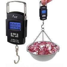 Portable Weight Scale