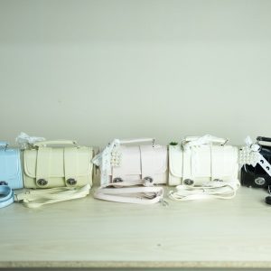 👜LADIES PARTY BAG