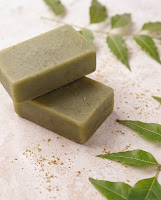 Earthy Essence ভেষজ নিম সাবান | প্রাকৃতিক উপাদানে ত্বকের গভীরের যত্ন (100g)