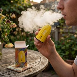 Bang King 12000 Puffs rechargeable disposable electronic cigarette in the Strawberry Mango flavor