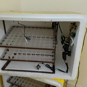264 Capacity Egg Incubator-Auto Mist