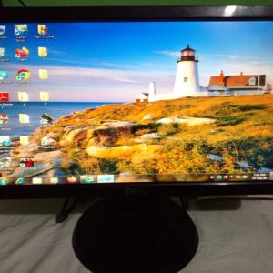 Dell 19” Widescreen Flat Panel Led Monitor